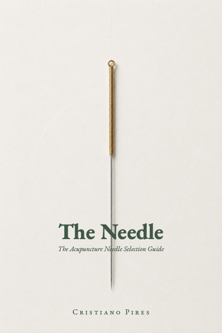 The Needle, Book Cover by Cristiano Pires