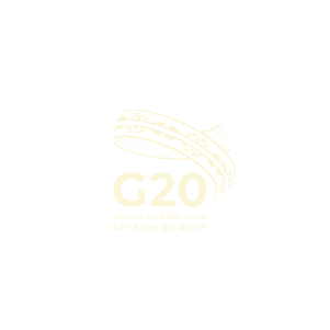 G20