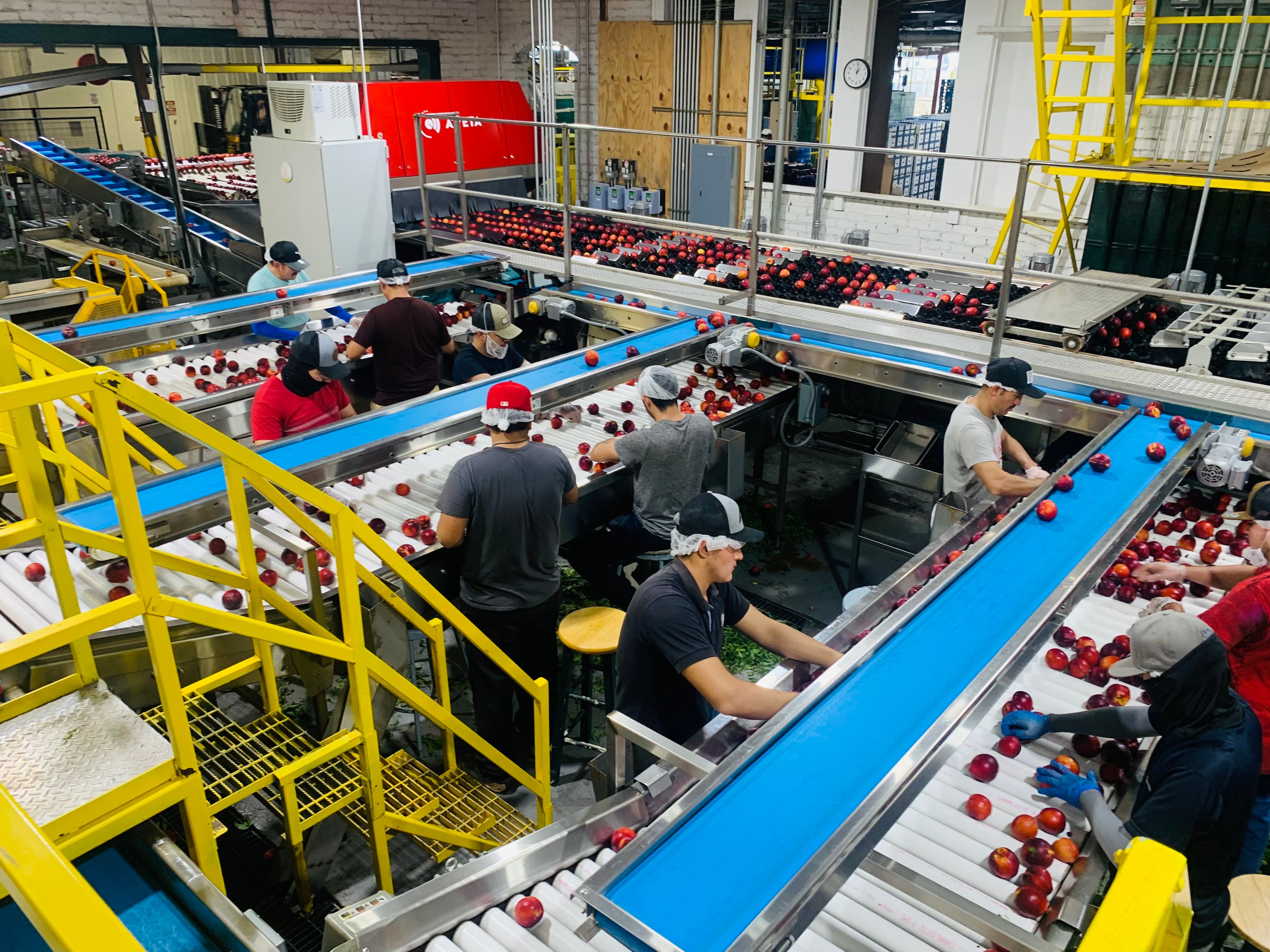 Food Processing