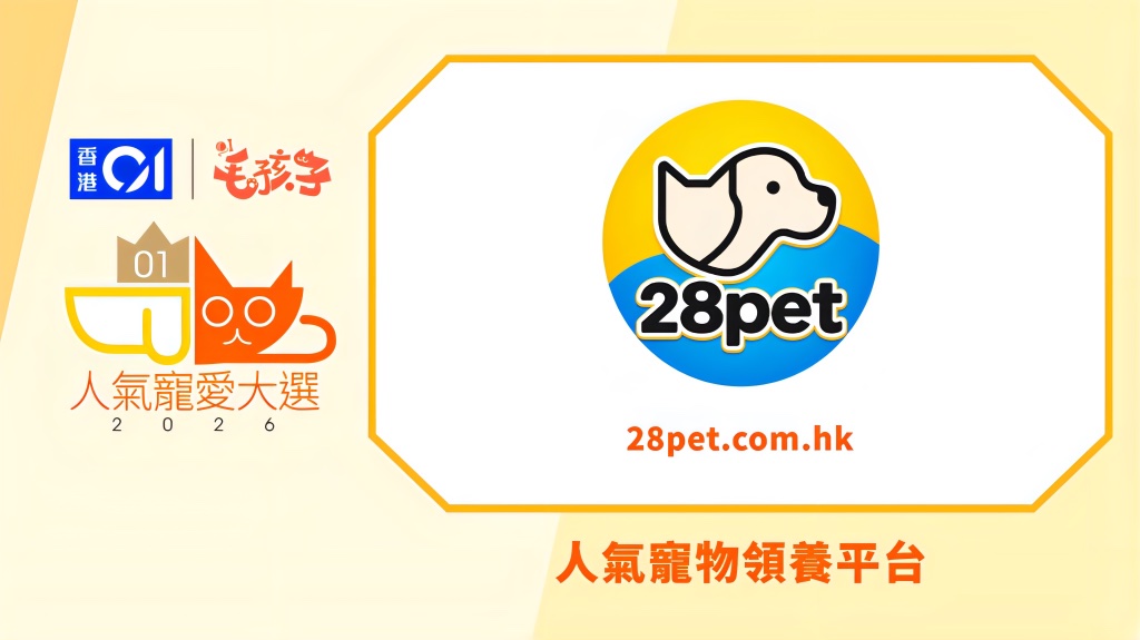 28pet × 香港01 人氣寵愛大選 2026