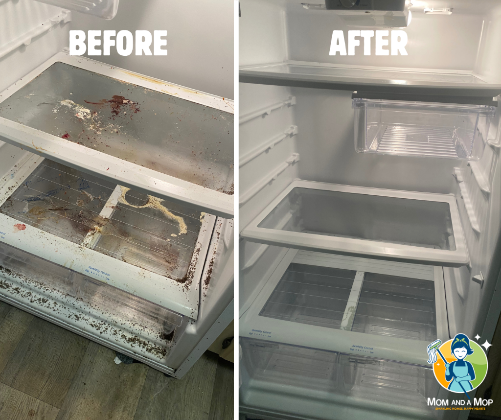 Refrigerator before and after cleaning