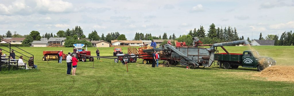 Vintage IH Trucks — Rear View Row