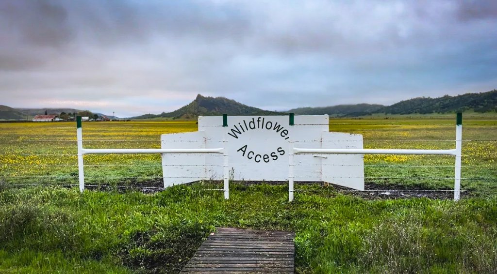 Wildflower Access sign at Keegan Ranch