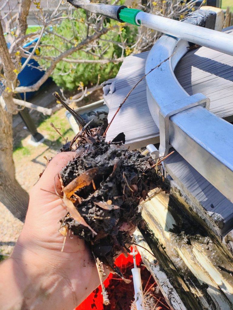 Gutter Cleaning