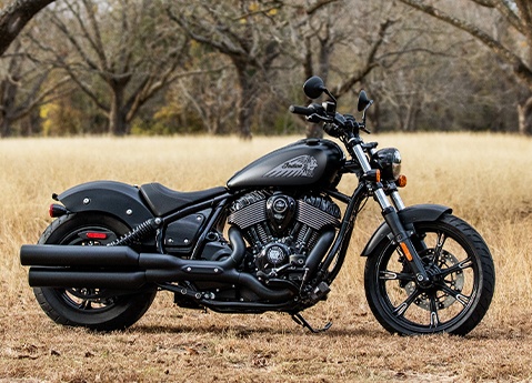 Matte black Indian Chief Dark Horse parked on dry grass