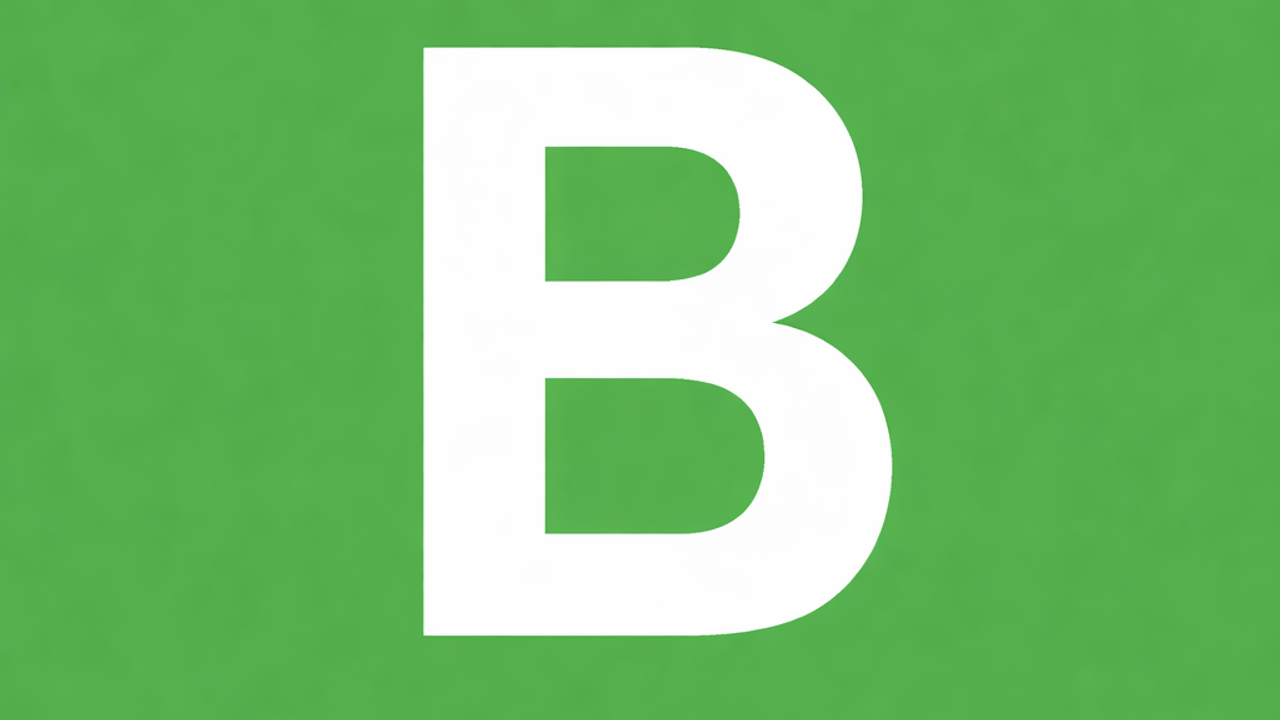 budbixbackup template preview