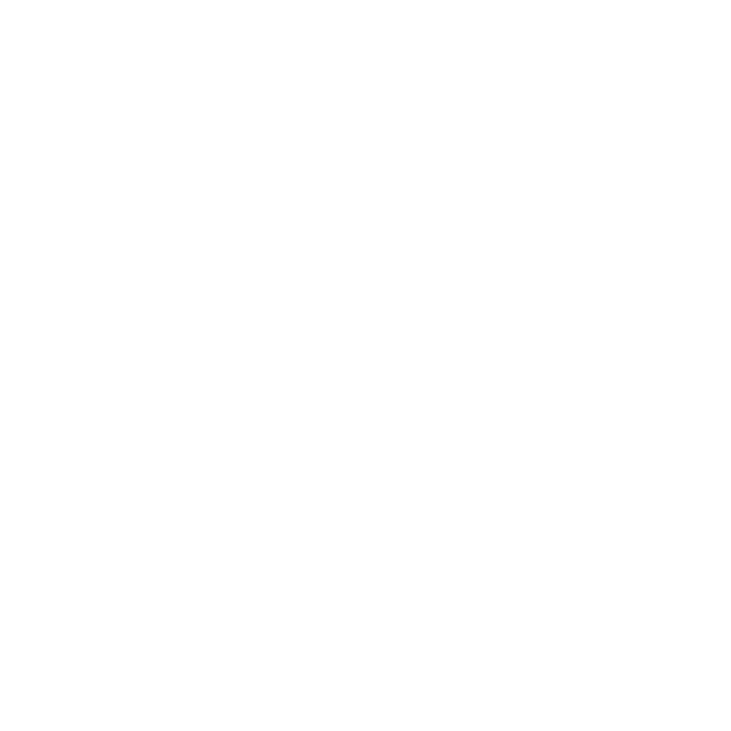 AIV Logo