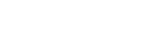 The Dementia Strategy: Isle of Wight Council