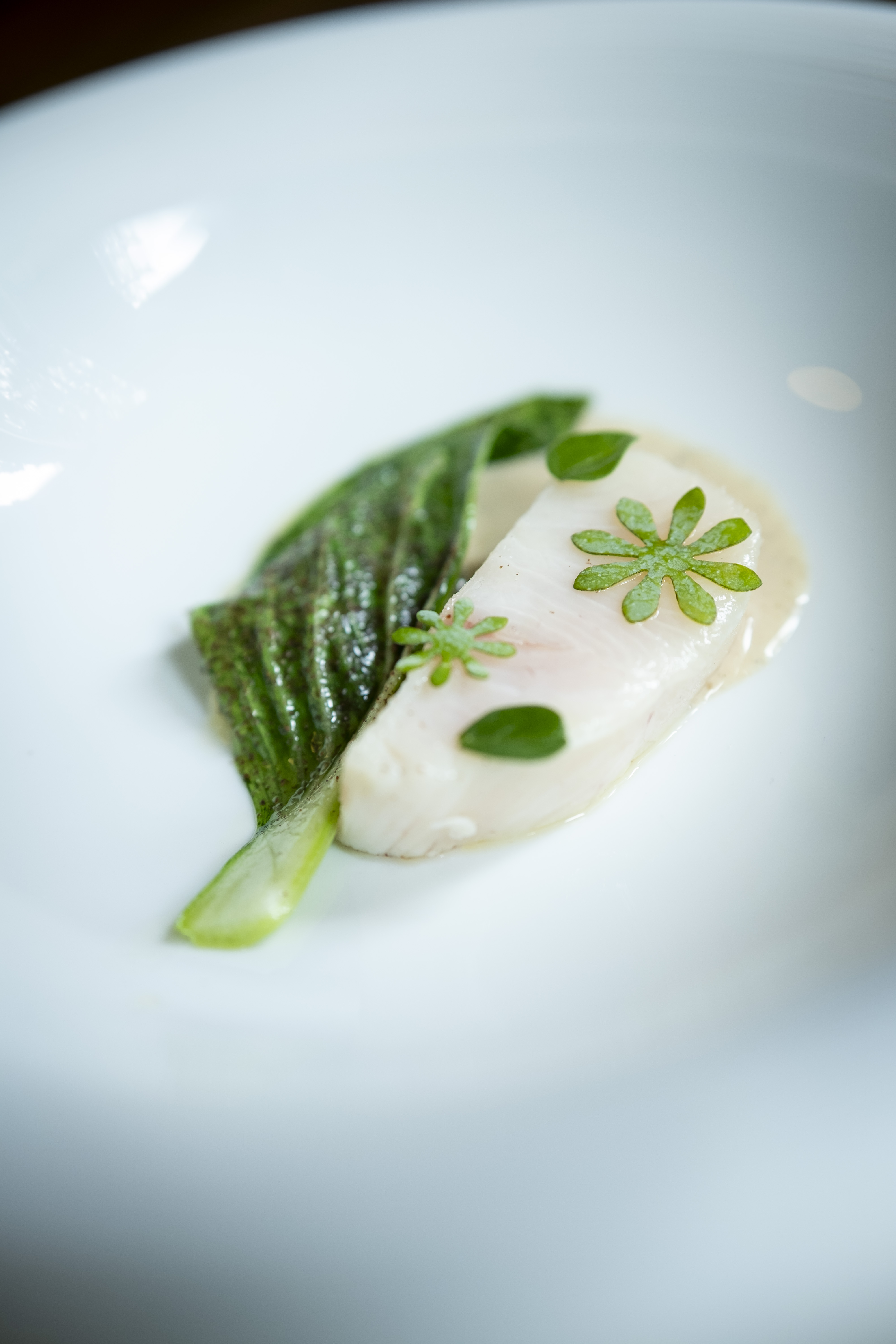Branzino / Bok Choy / Emulsione