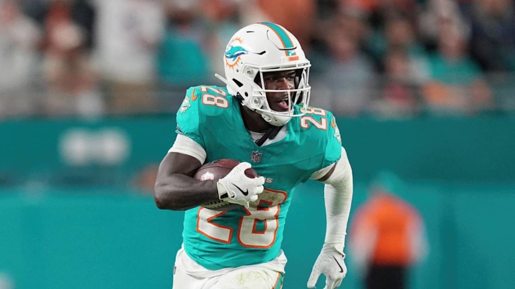 Miami Dolphins