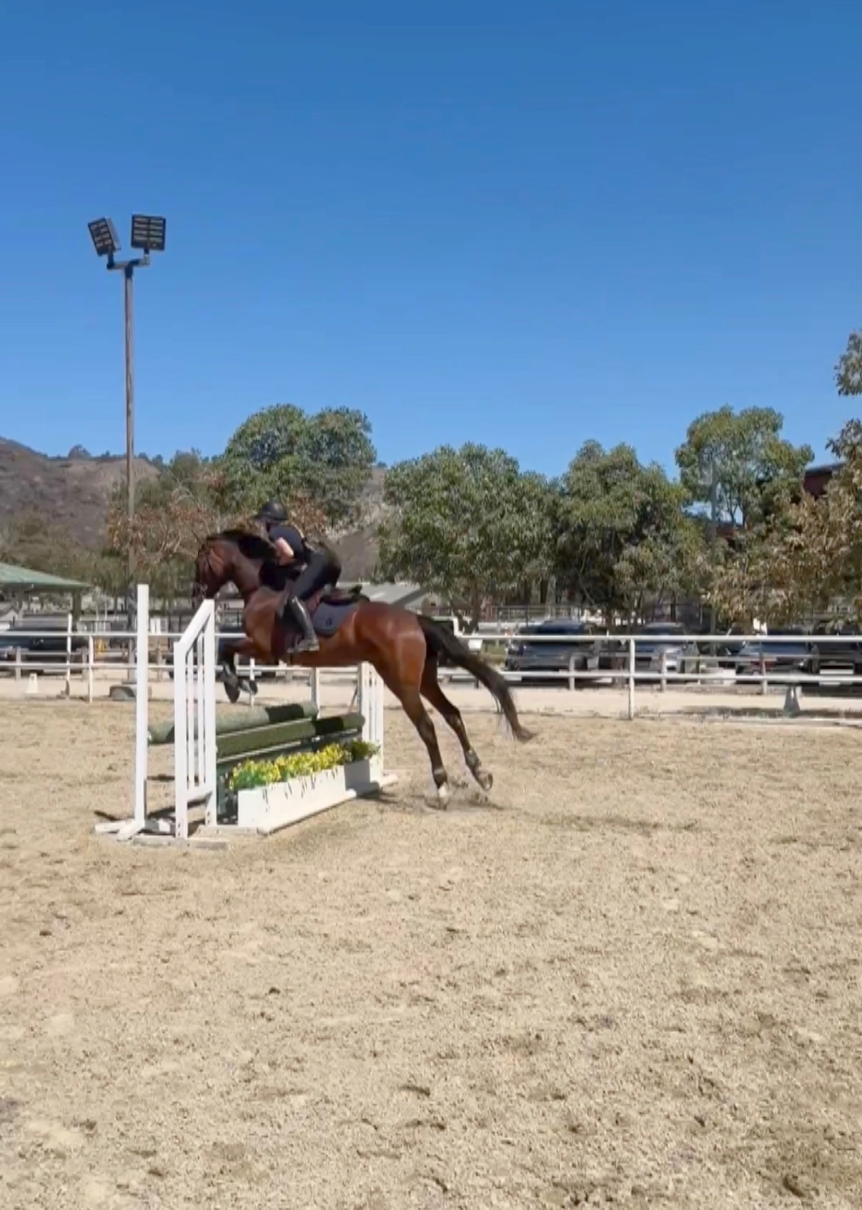 Training & Lessons