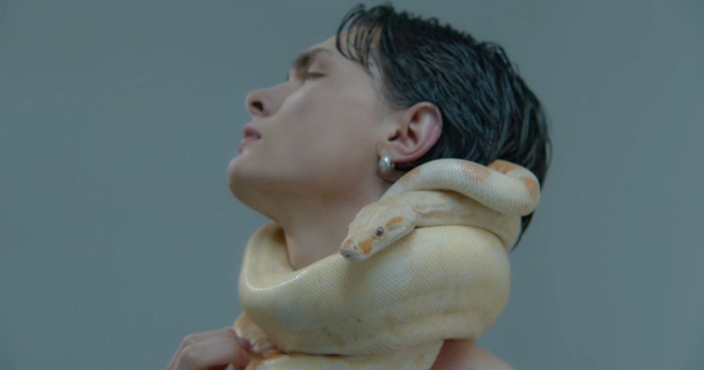 Still 20