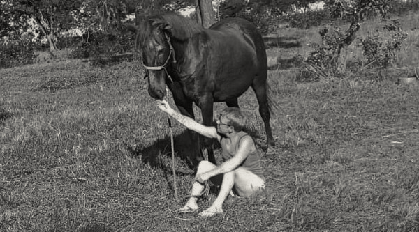 Healing connection with horse