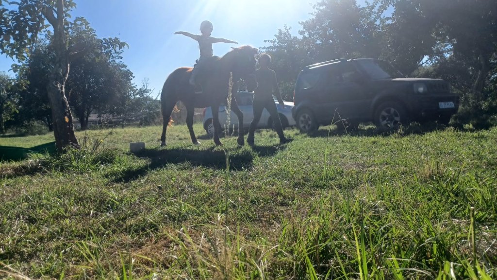 Child on horse with healing guide