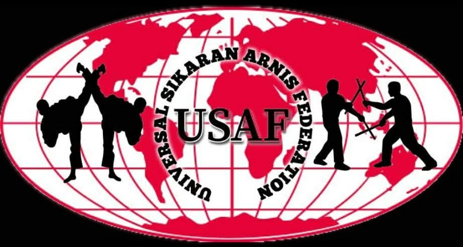 USAF Logo