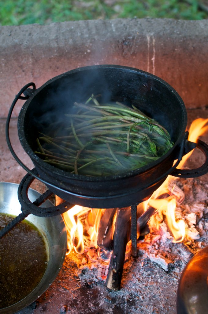 Cooking with Fire