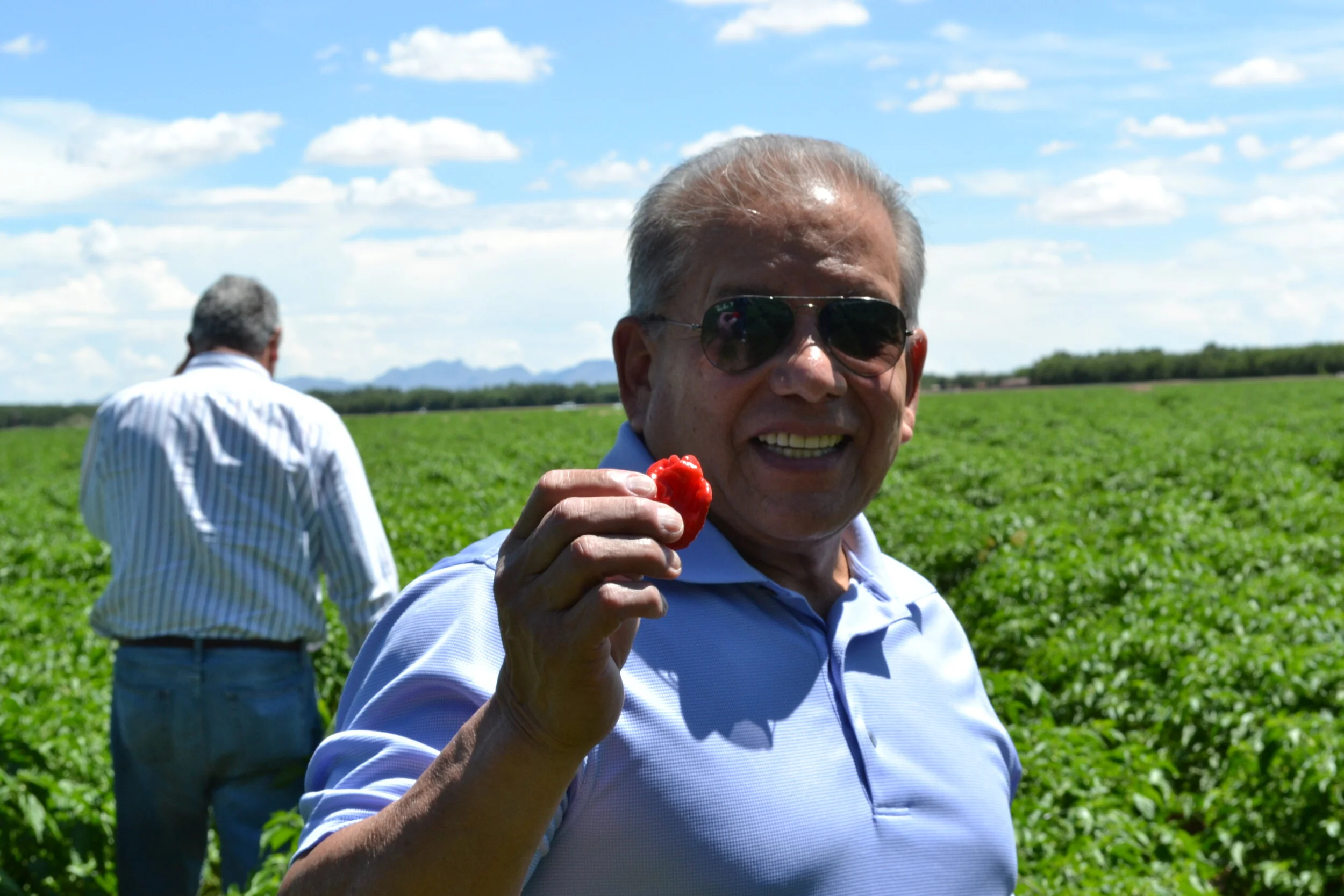 Chile farm in the Hatch Valley