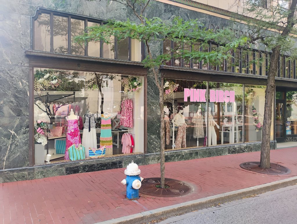 Pink Birch Boutique