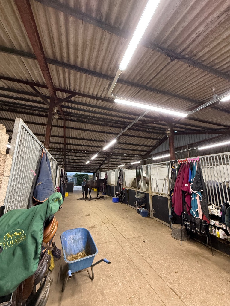 Completed stable block - LED strip lighting over every bay