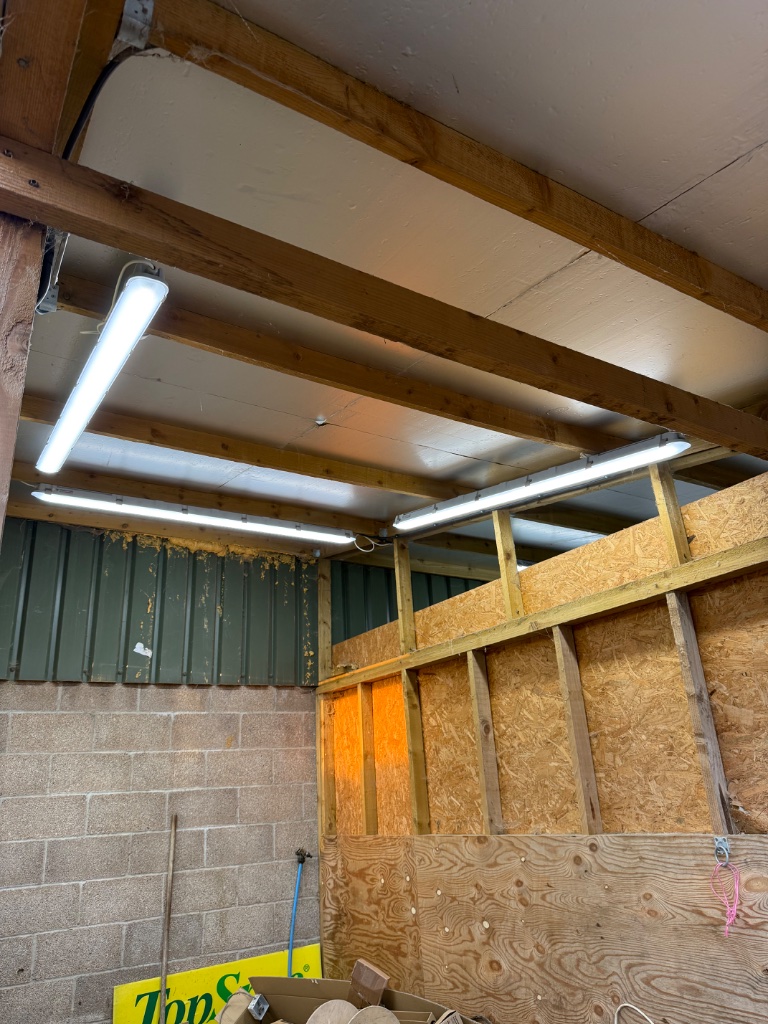 Outbuilding - new LED battens and containment