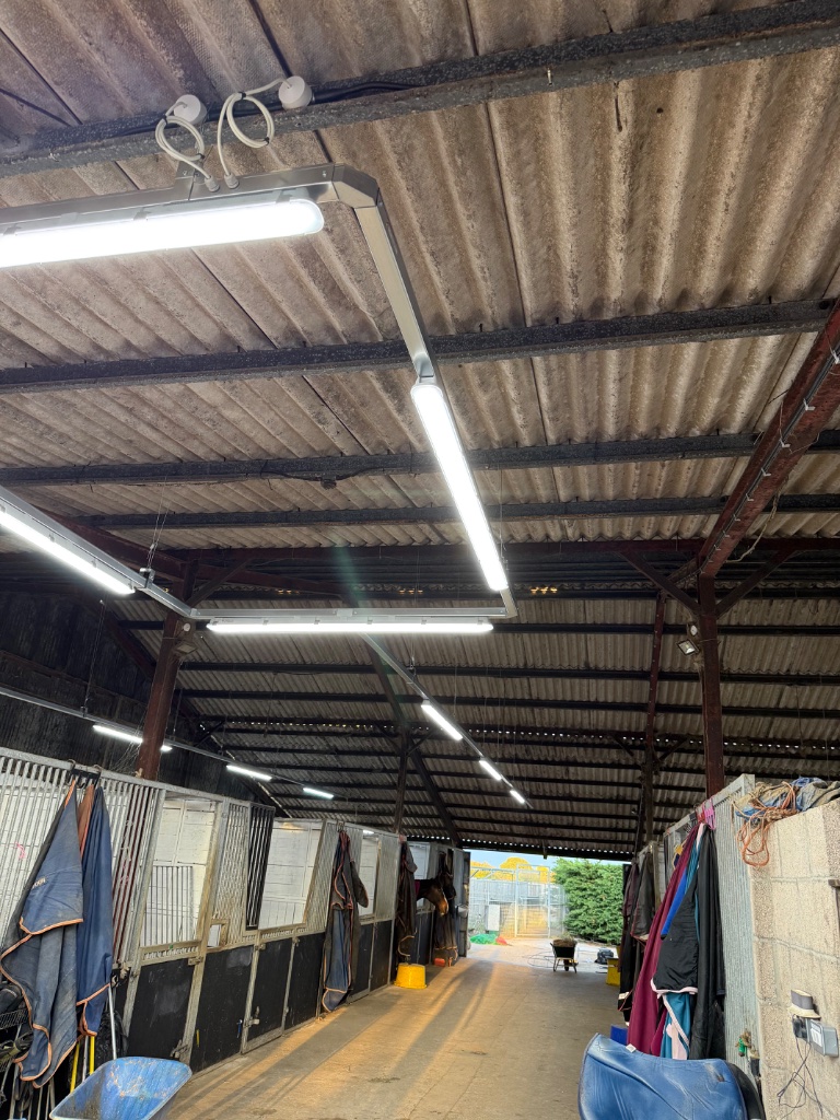 Mudges Manor Farm Lighting - Agricultural electrical project by Relay Electrical Services
