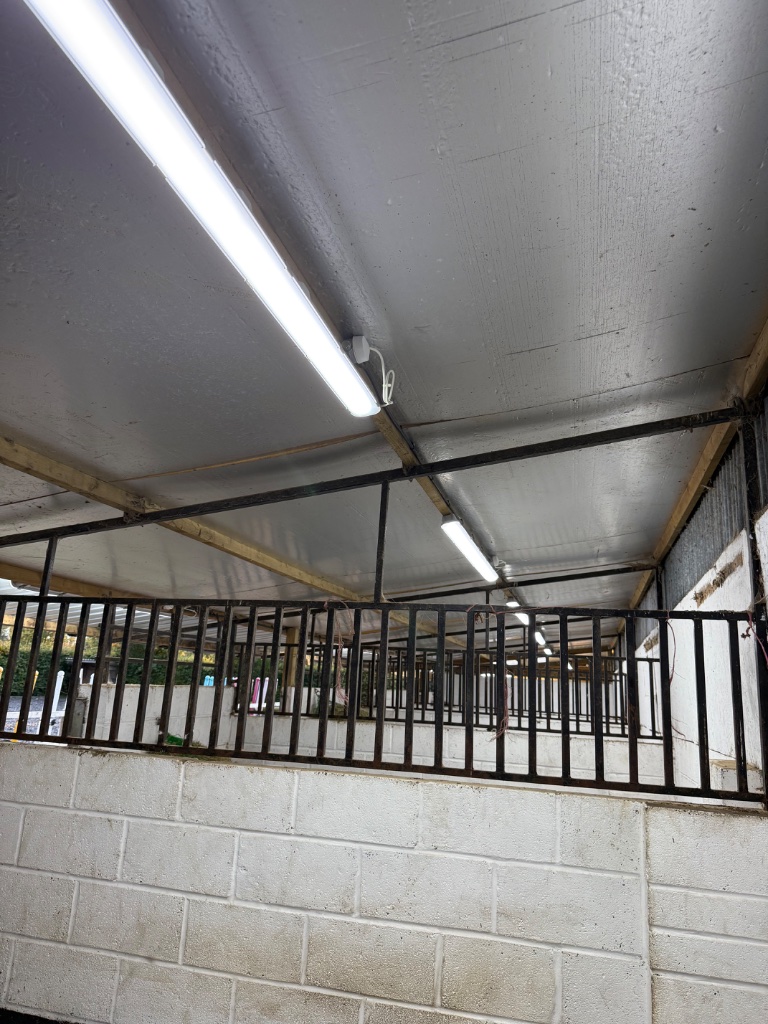 External stable block - LED lighting over open bays