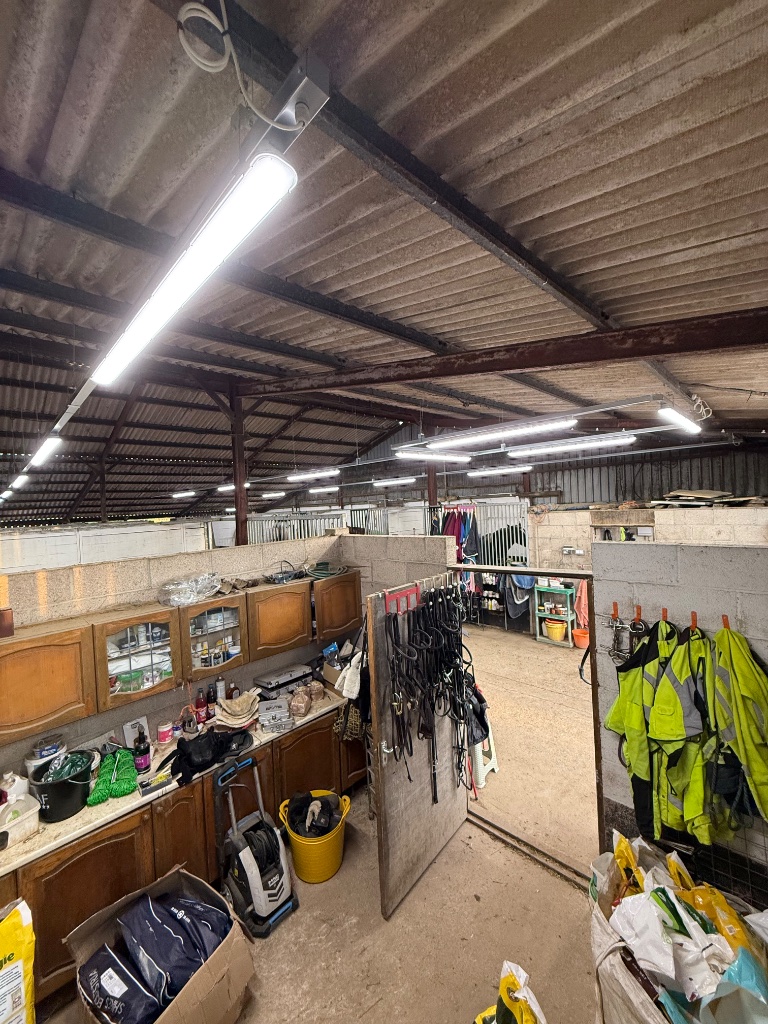 Tack room - new LED lighting installed
