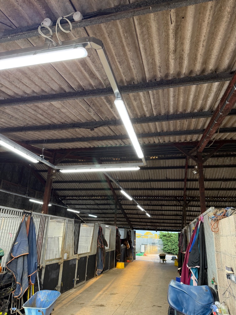 LED battens installed over the stable bays - close detail