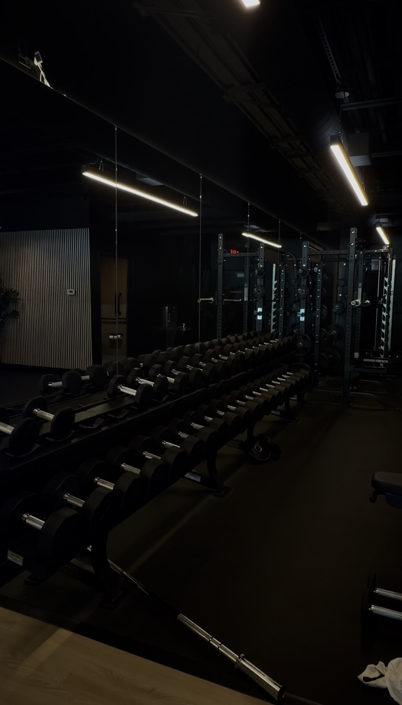 Free Weights