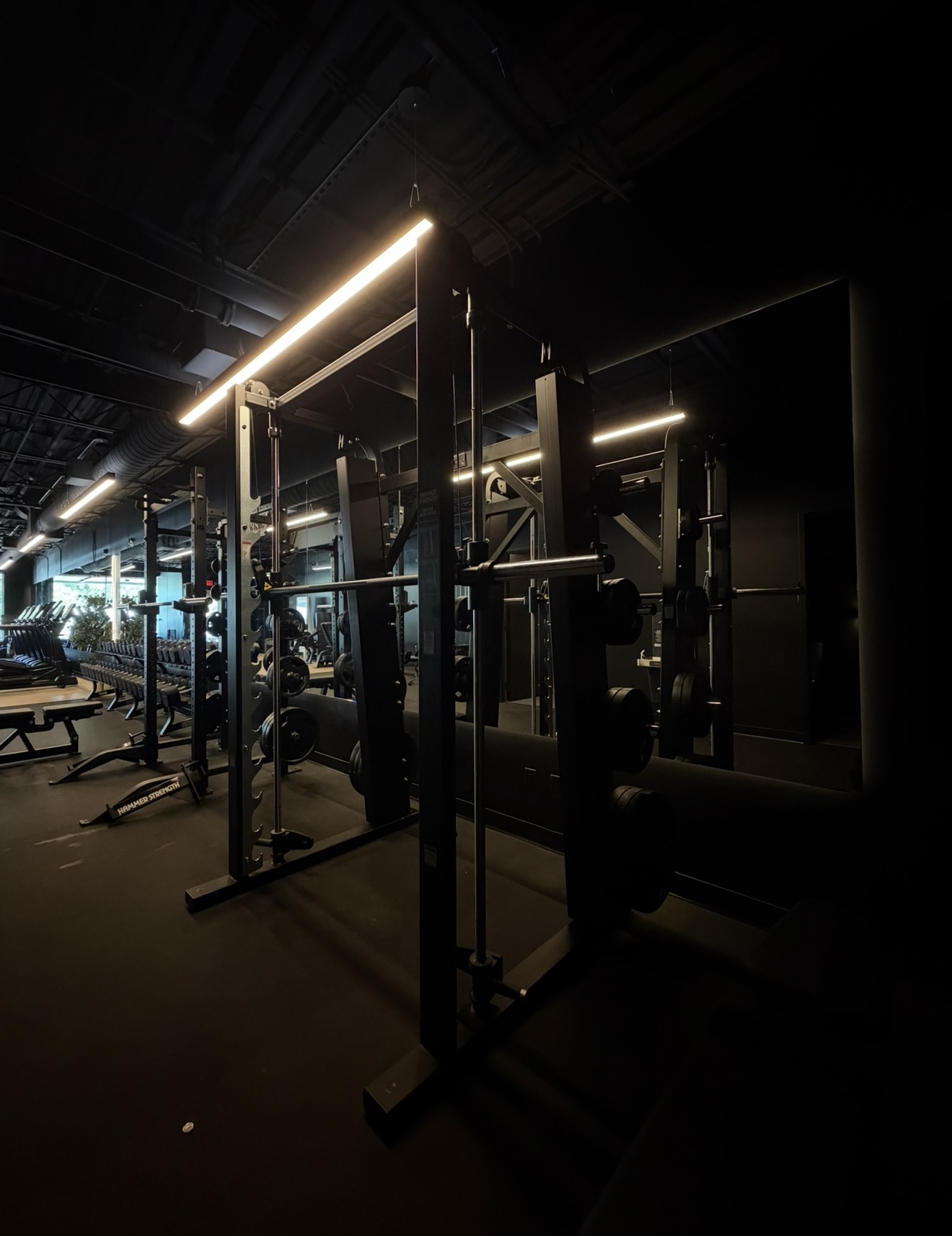Strength Training
