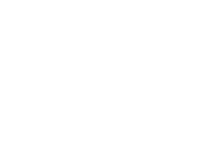 High Speed Training