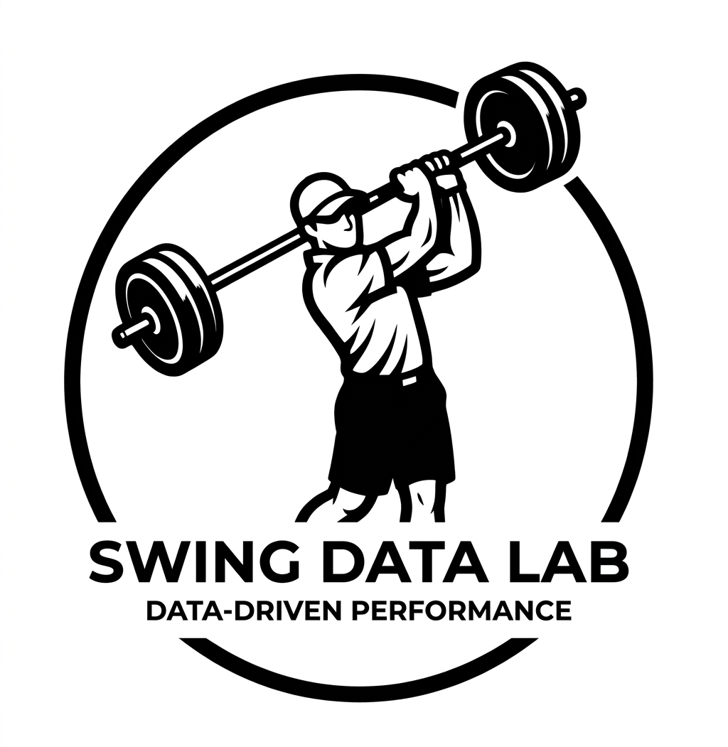 Swing Data Lab logo