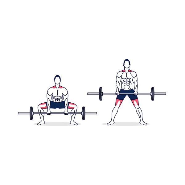 Barbell Sumo Deadlift