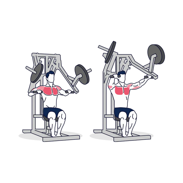 Chest Press Machine