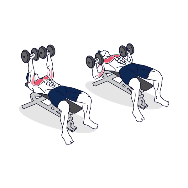 Dumbbell Bench Press