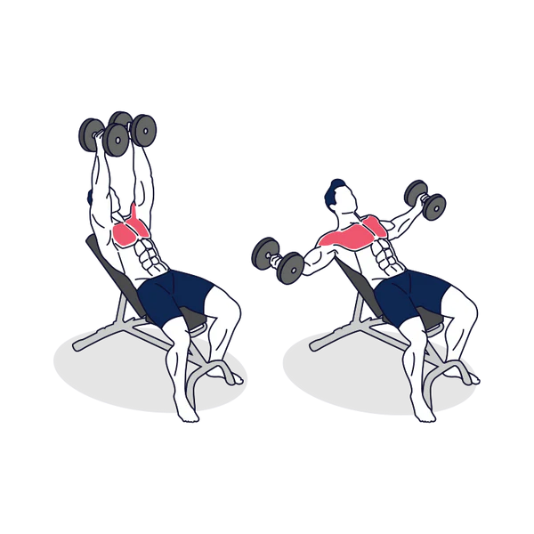 Incline Dumbbell Fly
