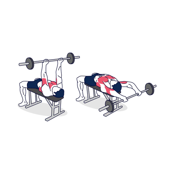 Barbell Pullover
