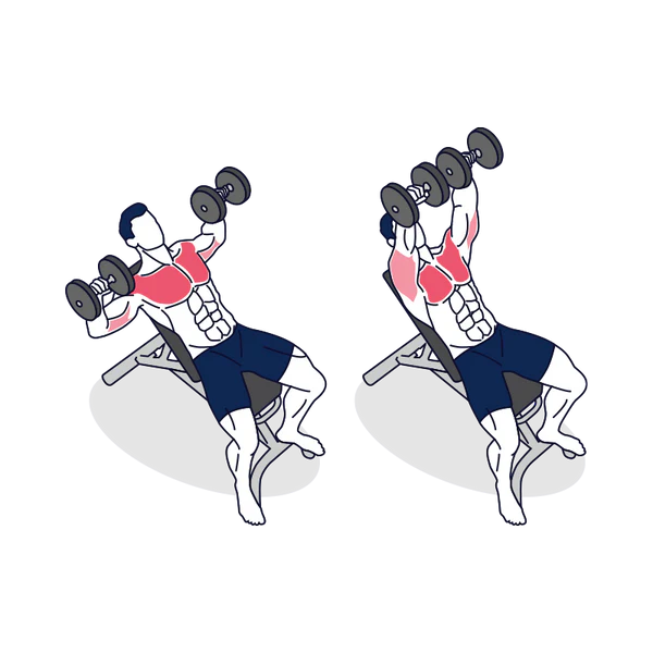Incline Dumbbell Bench Press
