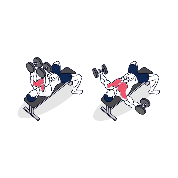 Dumbbell Fly