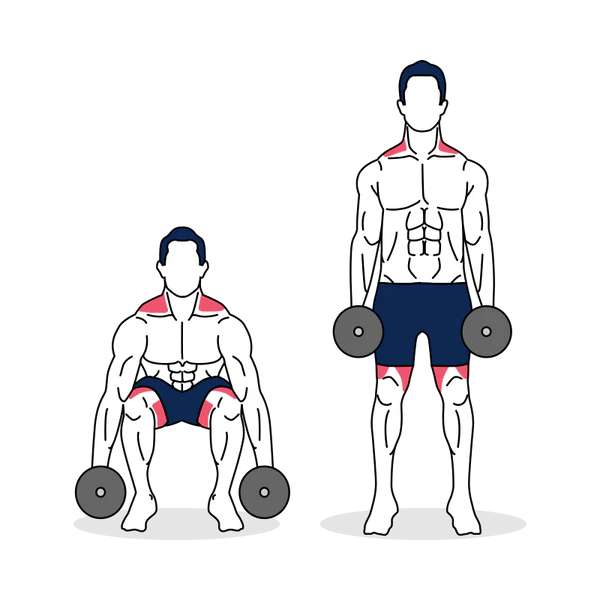 Dumbbell Deadlift