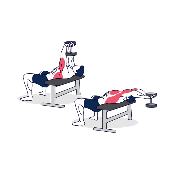 Dumbbell Pullover