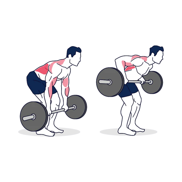 Barbell Row
