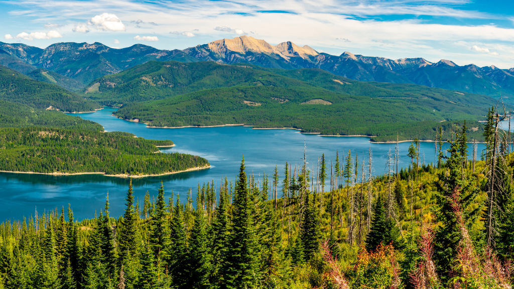 Flathead Valley