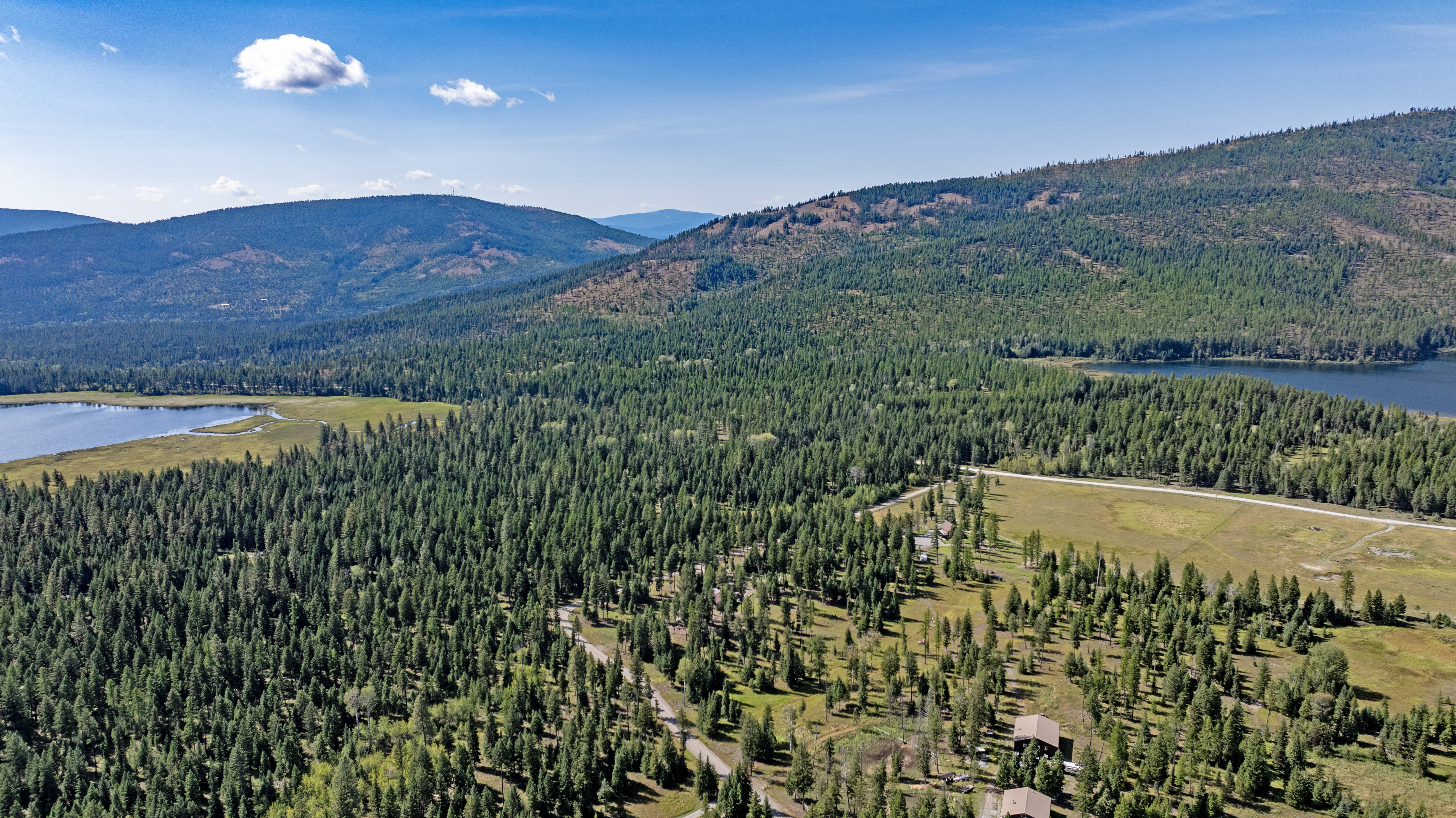 Montana timberland forest