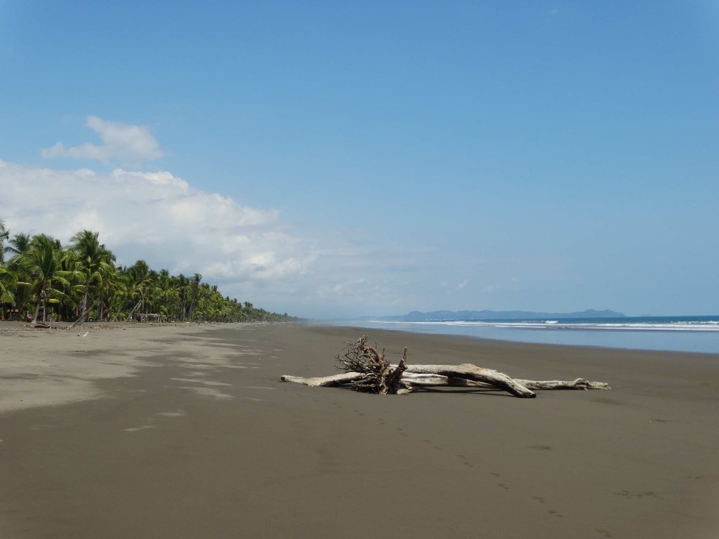Isla Palo Seco beach