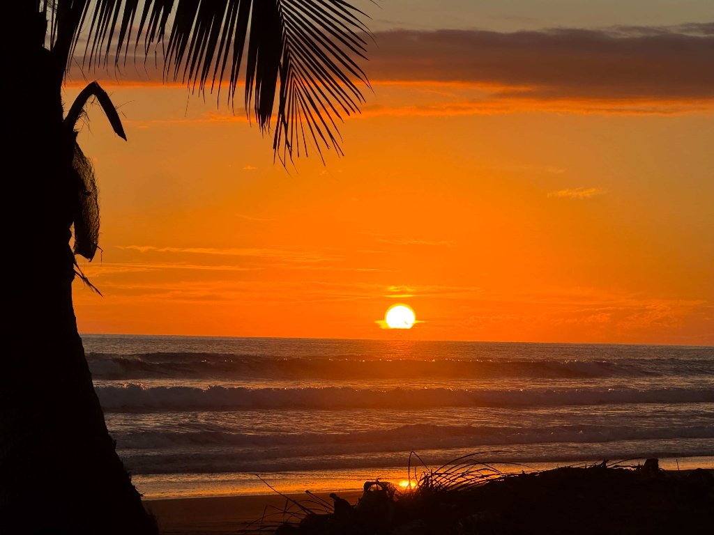 Isla Palo Seco 5