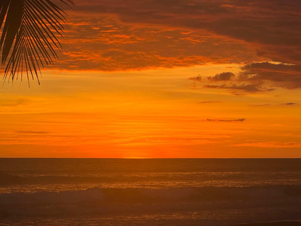 Isla Palo Seco 6