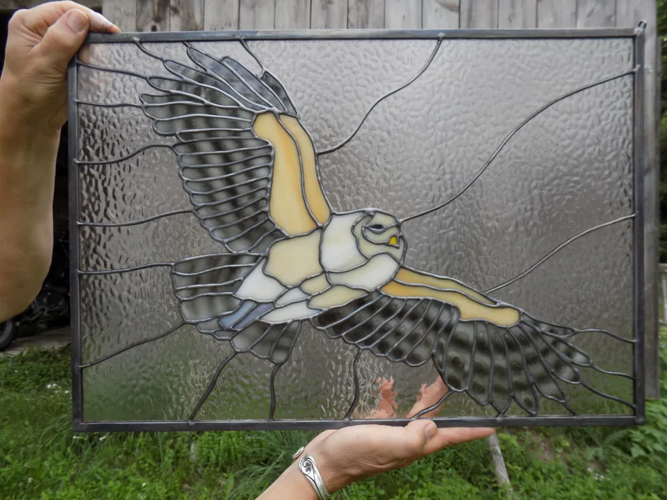 Barred Owl