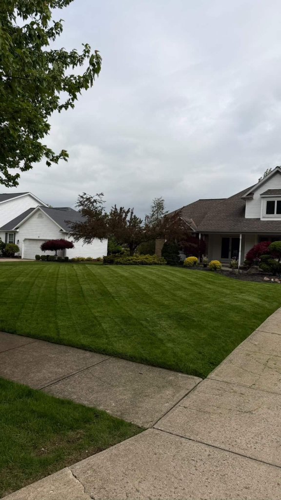 Lawn Care Service
