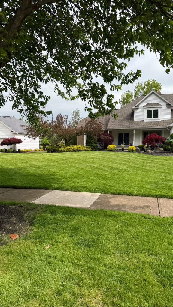 Residential Yard Maintenance